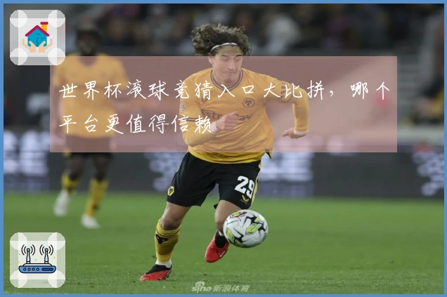 世界杯滚球竞猜入口大比拼，哪个平台更值得信赖