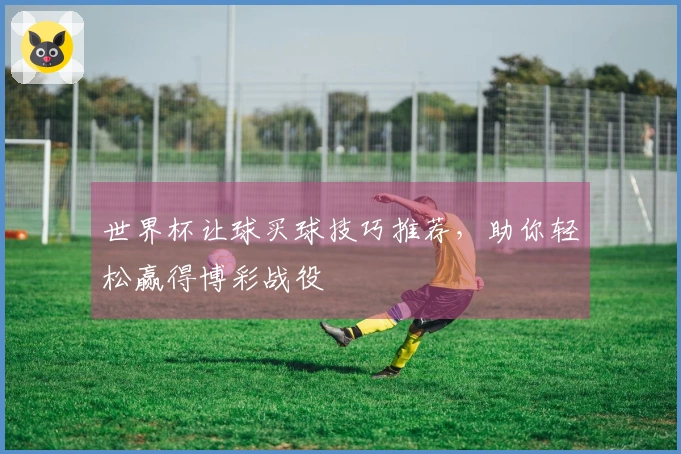 世界杯让球买球技巧推荐，助你轻松赢得博彩战役