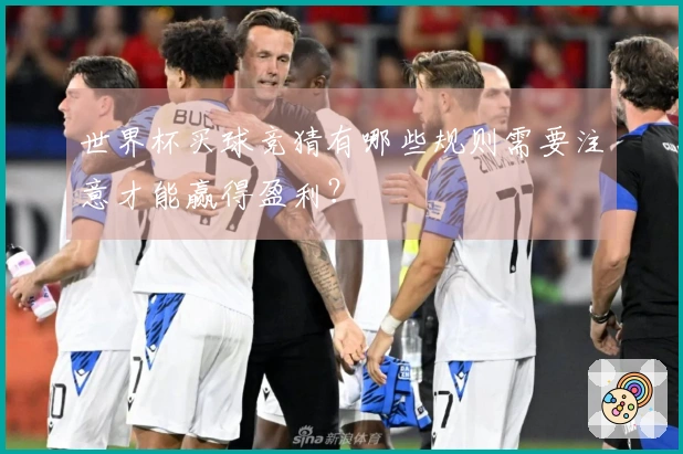 世界杯买球竞猜有哪些规则需要注意才能赢得盈利？