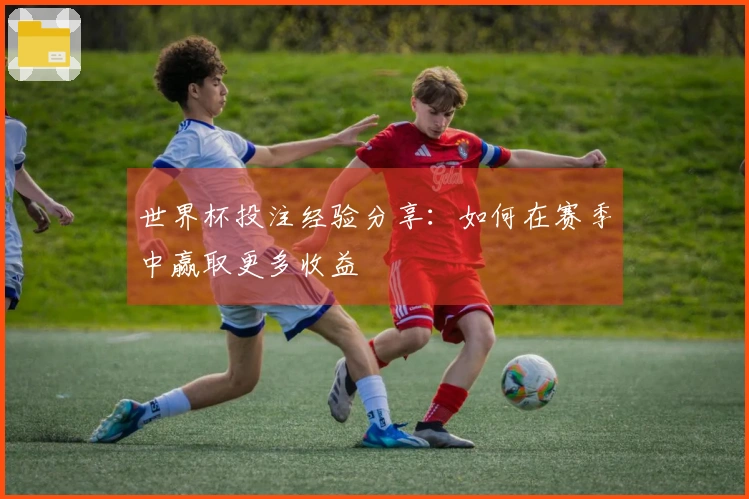 世界杯投注经验分享：如何在赛季中赢取更多收益