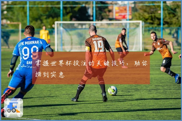 掌握世界杯投注的关键技巧，助你捞到实惠